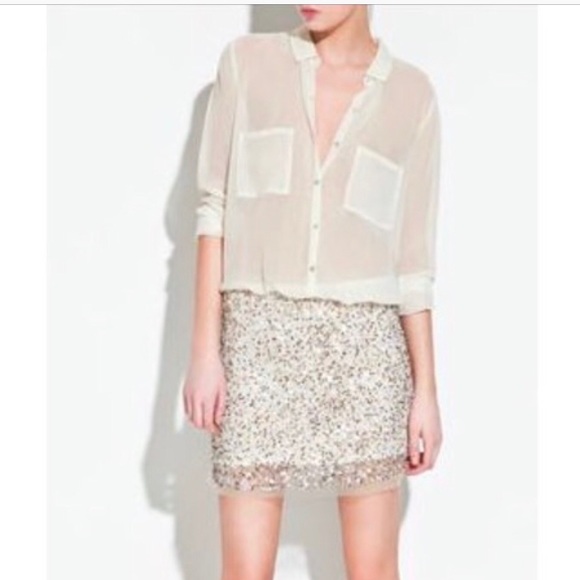 COPY - Zara button down sequin dress - Picture 1 of 1